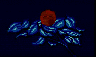 Fuzzls sleep at night, come back during the day!